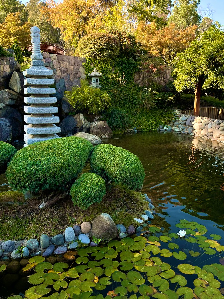 miren mutis, para que vean que si salgo de mi casa🥀🥀🥀🐺🐺