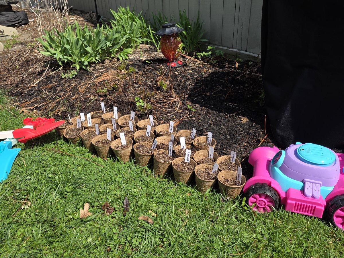 🐌 Ike 🐢 tweet media