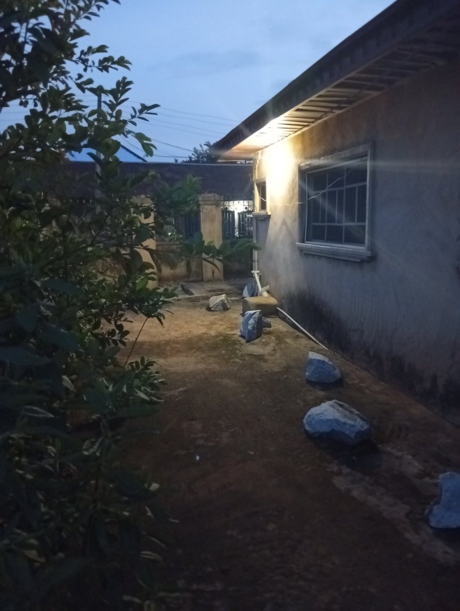 Osarobo🇳🇬 EdoBoy tweet media