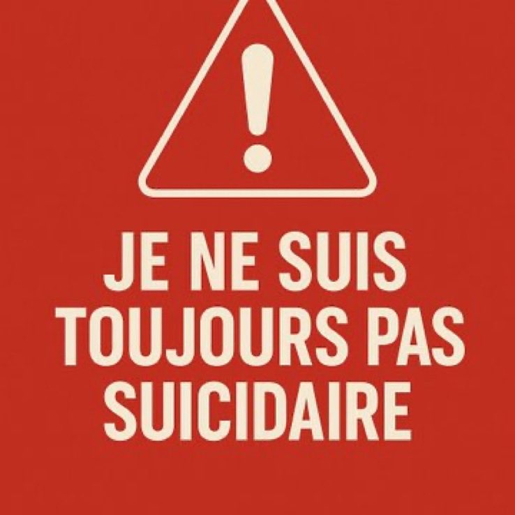 YLB_CR / Henri V, Le Grand Monarque tweet media