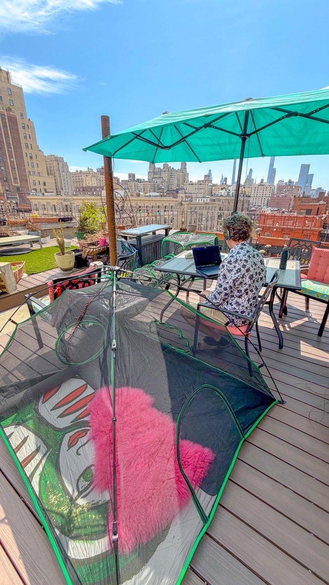 tr4777's tweet image. Happy #Caturday from the #Catio 🌇🐾🗽#NYC #uws