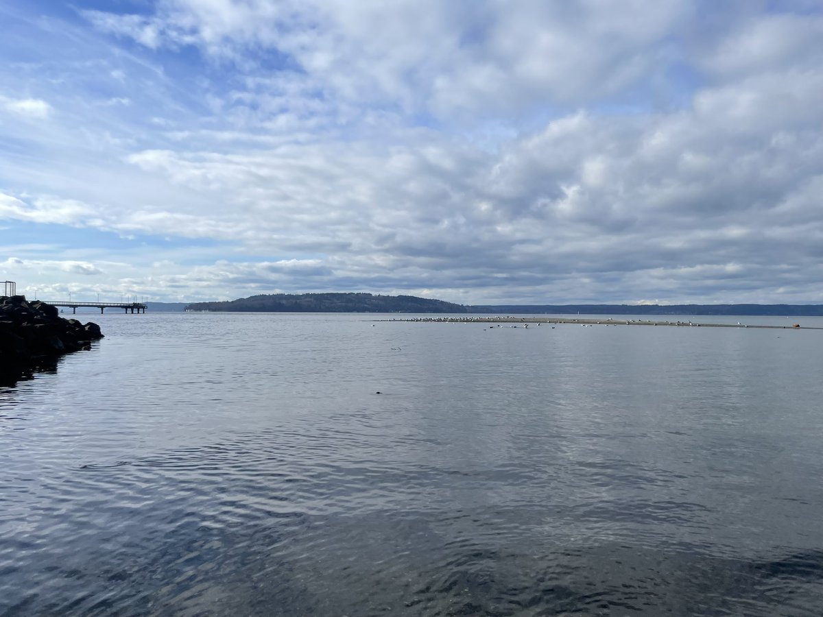 Chris T. Sample tweet media