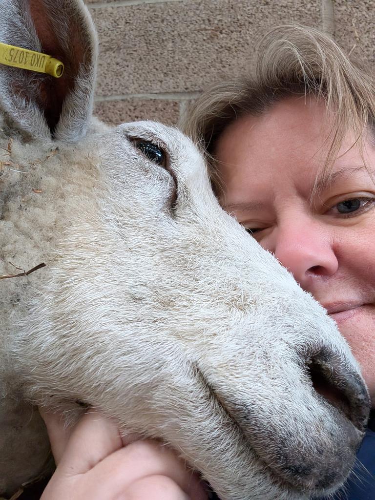 Sally Urwin tweet media