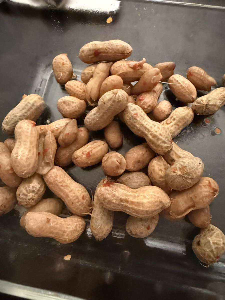 Cassie Clark tweet media