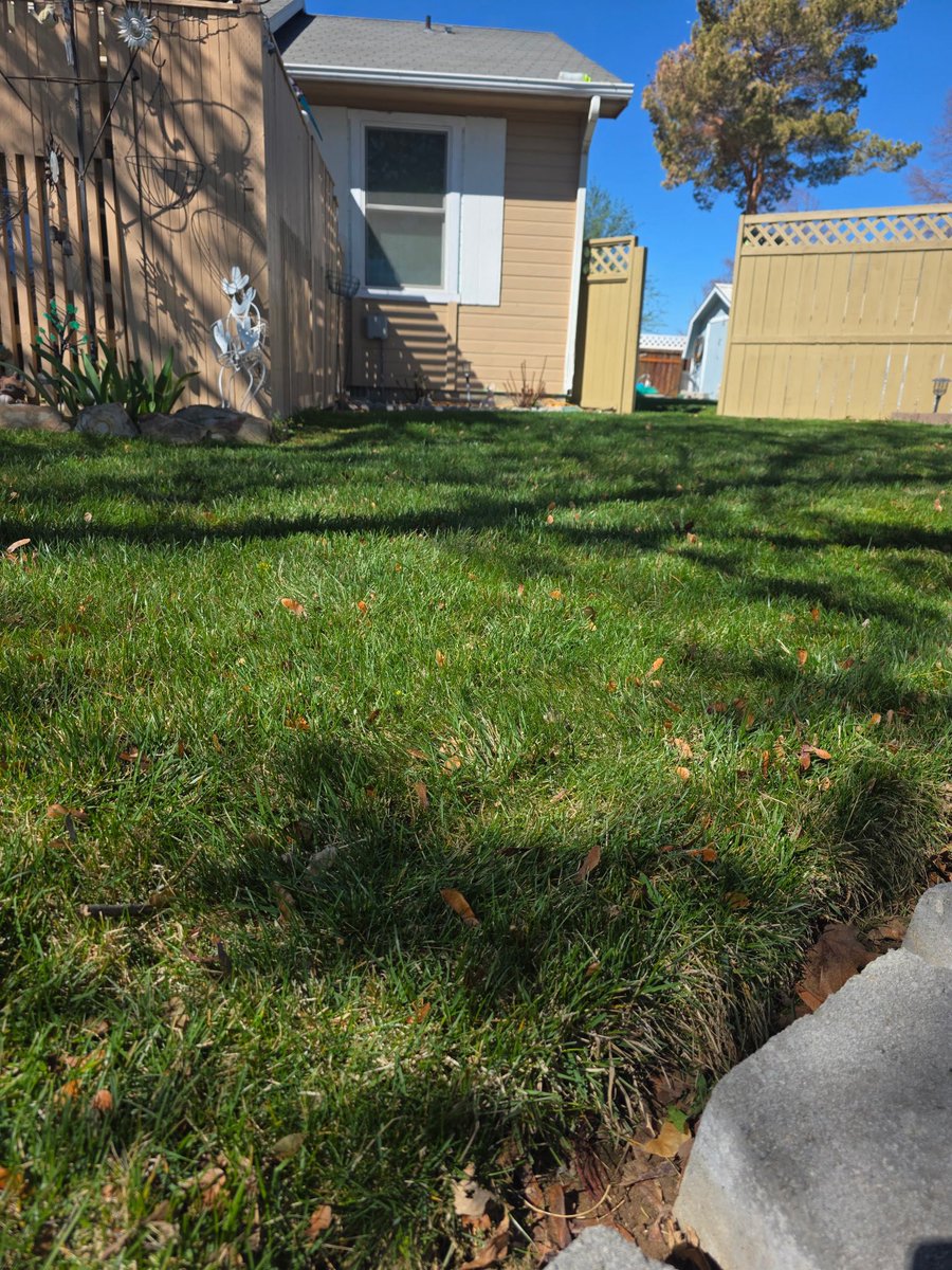 Rodney Smith Jr tweet media