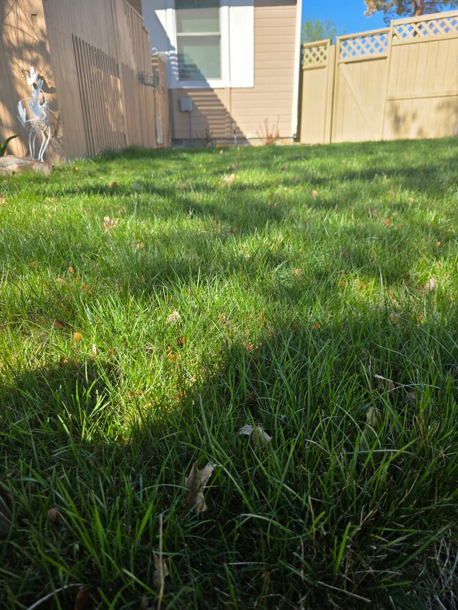 Rodney Smith Jr tweet media