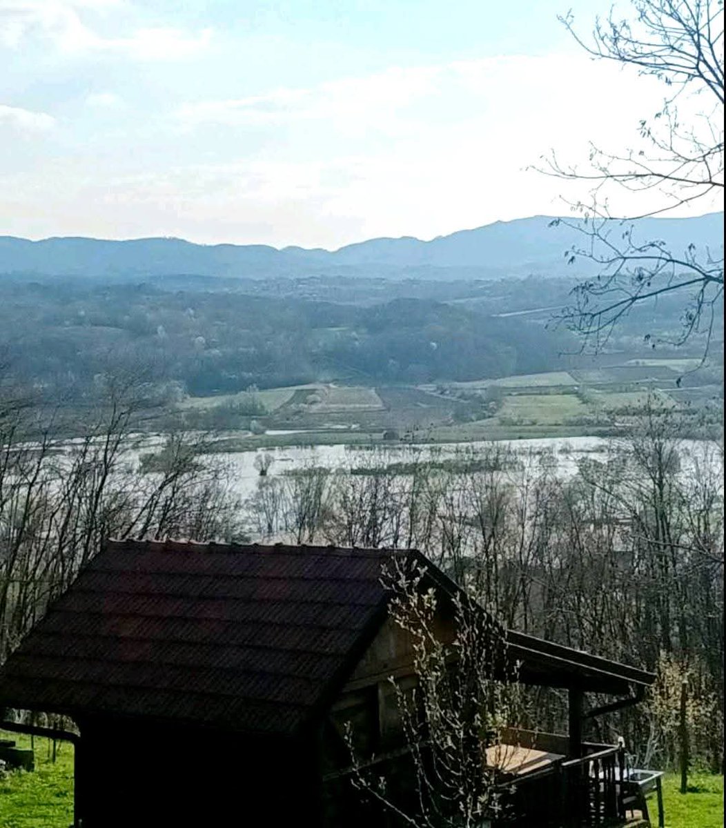 Aleksandar Kostic tweet media