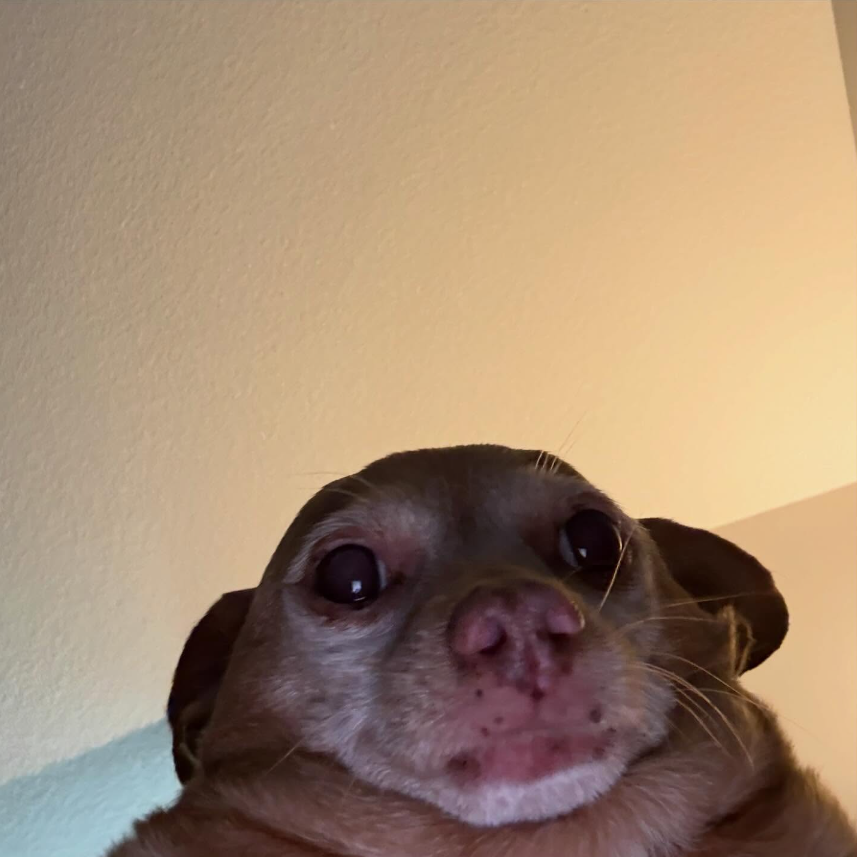 BMS | Piorbal_ tweet media