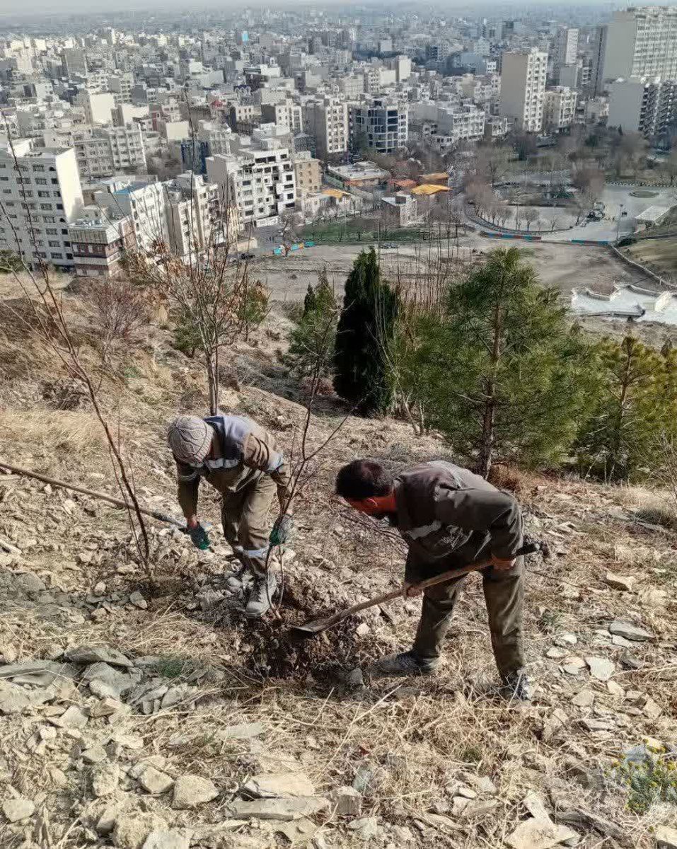 آوای اراک tweet media