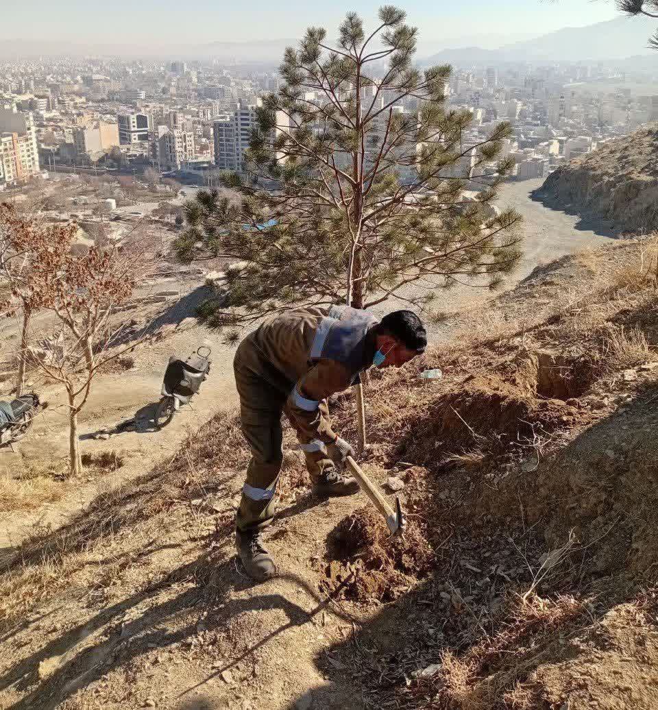 آوای اراک tweet media