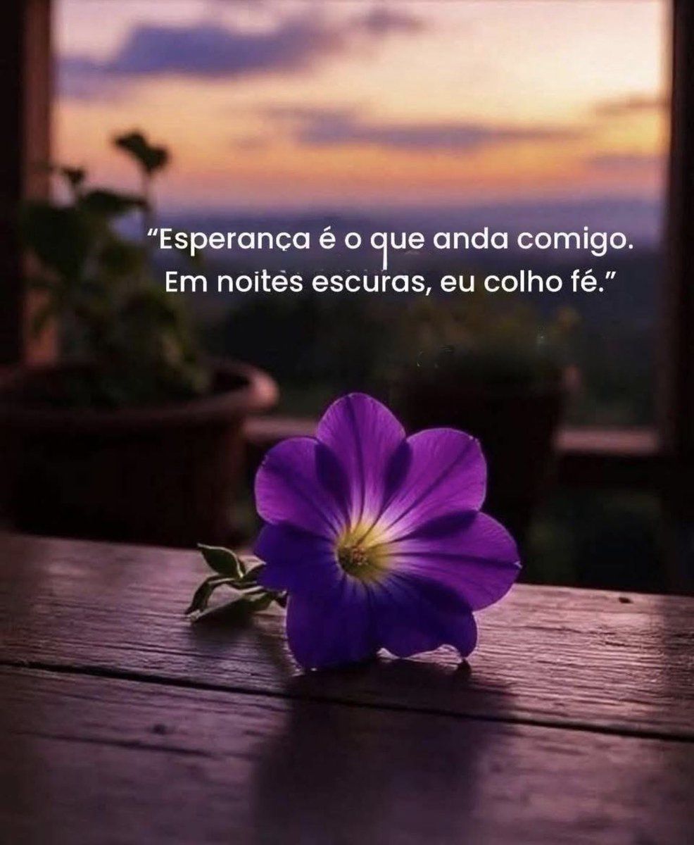 Lena🌻📚👩‍🔬⚗️ tweet media