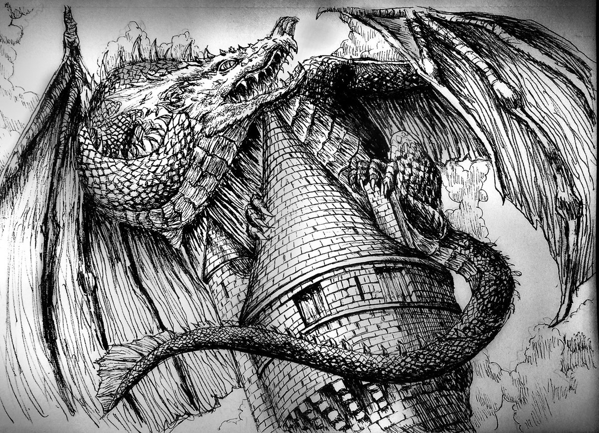 Zarex🐉🏴‍☠️⚔️ tweet media