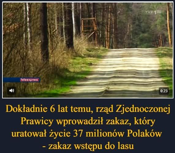 Bruno Jasieński tweet media