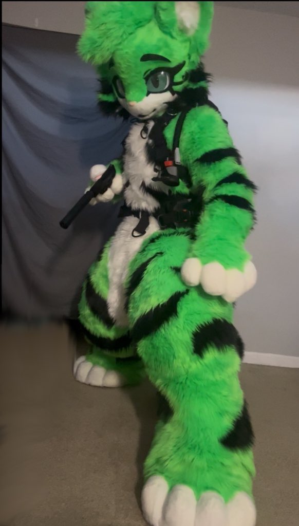 VTig (egregore)🐳 tweet media