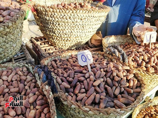 منير الخطير tweet media