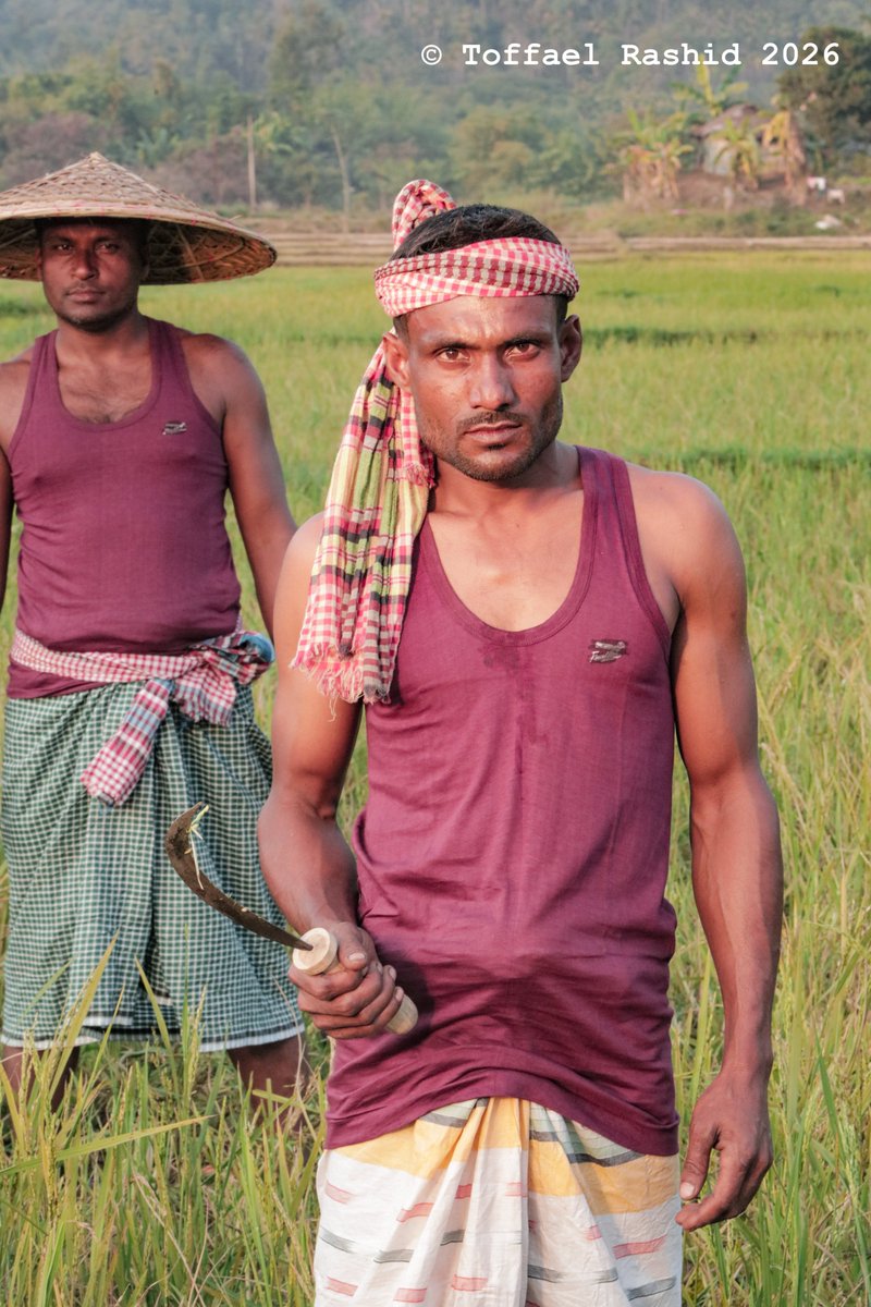 Toffael Rashid tweet media