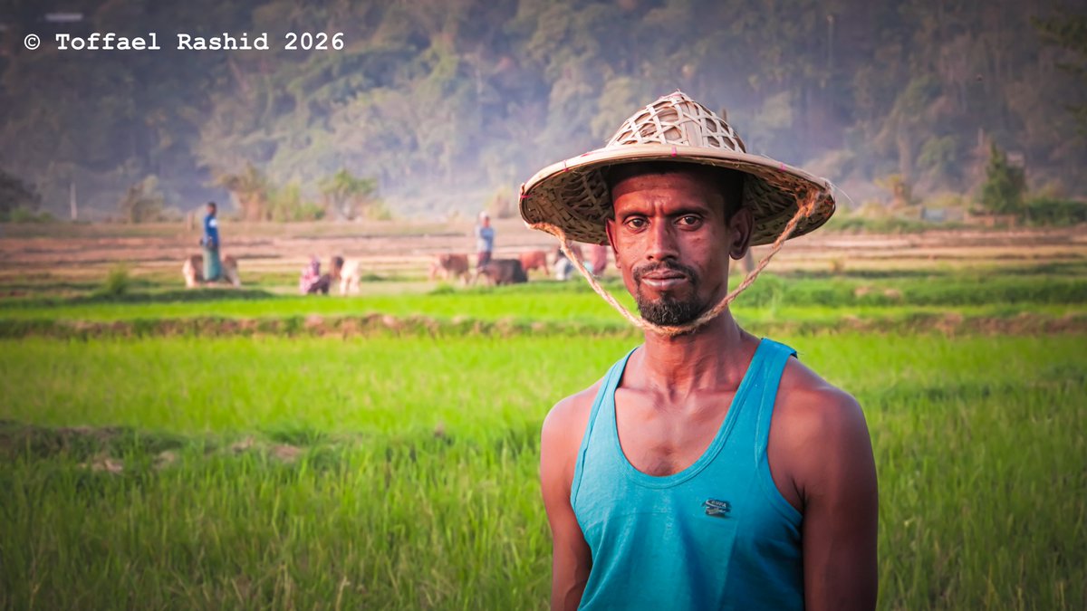 Toffael Rashid tweet media