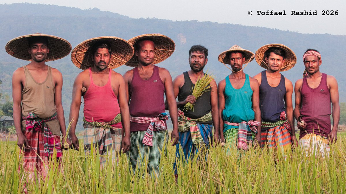 Toffael Rashid tweet media