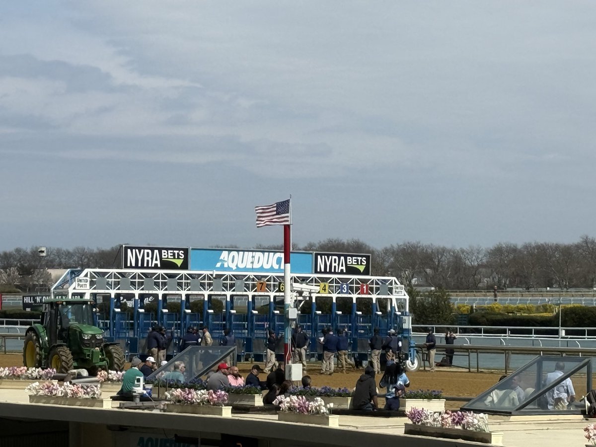 Travis Stone tweet media