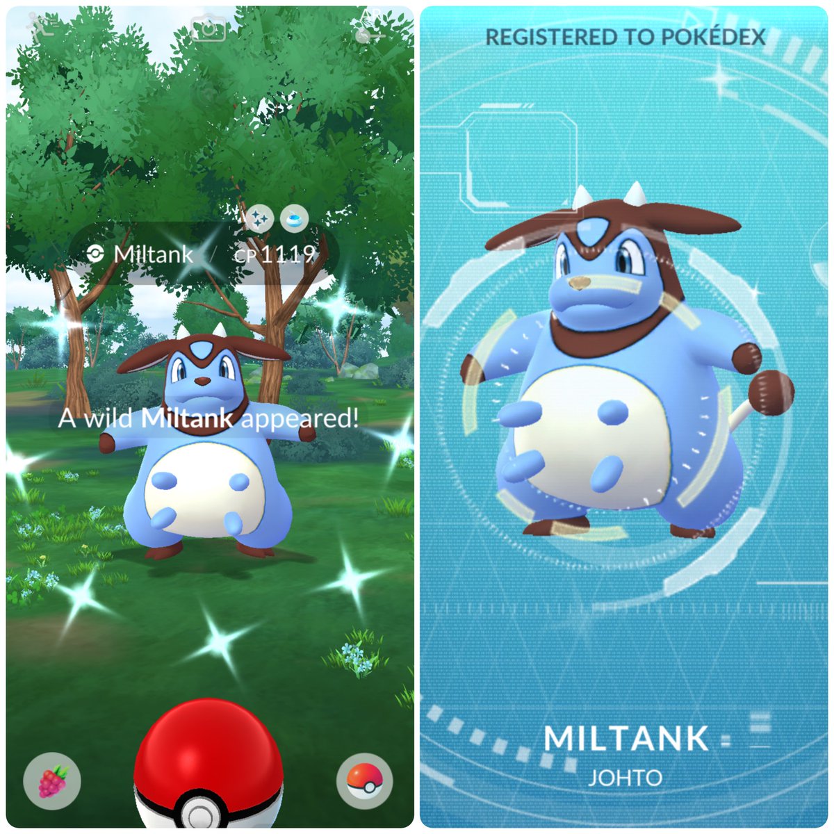 blastoise_joe's tweet photo. My first ever shiny Miltank! 🍼 #PokemonGO #PokemonGOApp https://t.co/qcLlN2tv5g