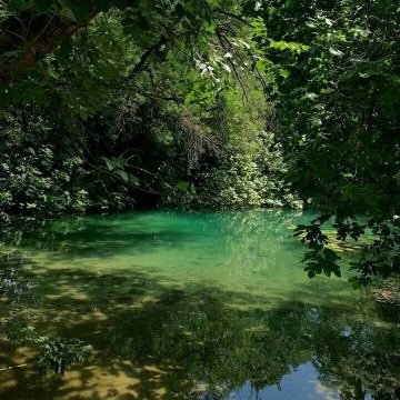 𝑒𝑙𝑦𝑟𝑎 tweet media