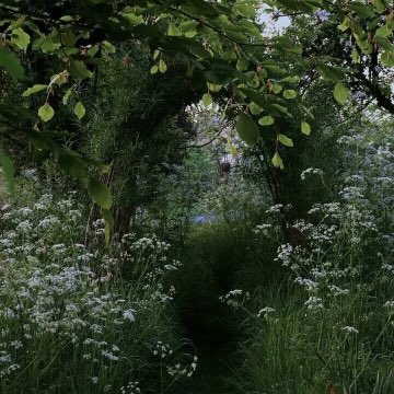 𝑒𝑙𝑦𝑟𝑎 tweet media