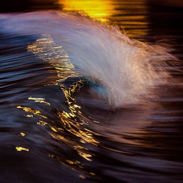 Hamster walk Food bowl, filled