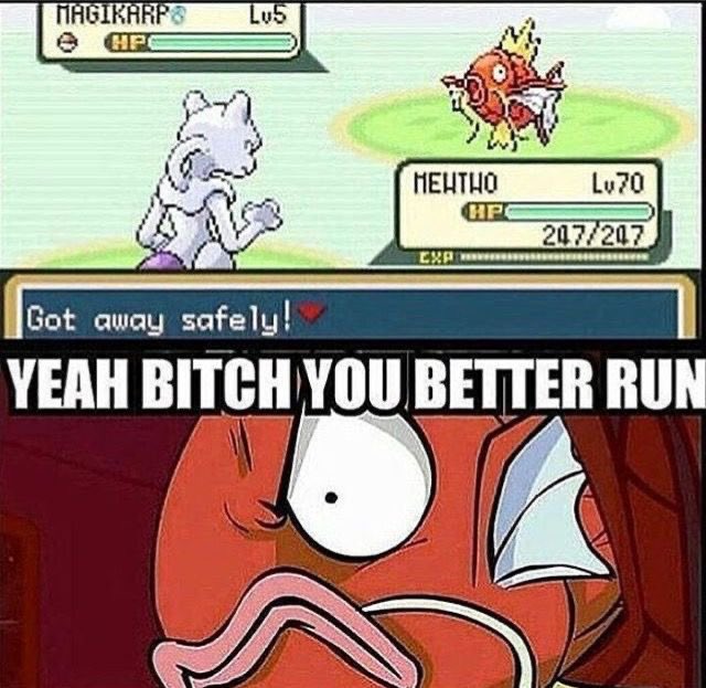 Pokémon Daily tweet media