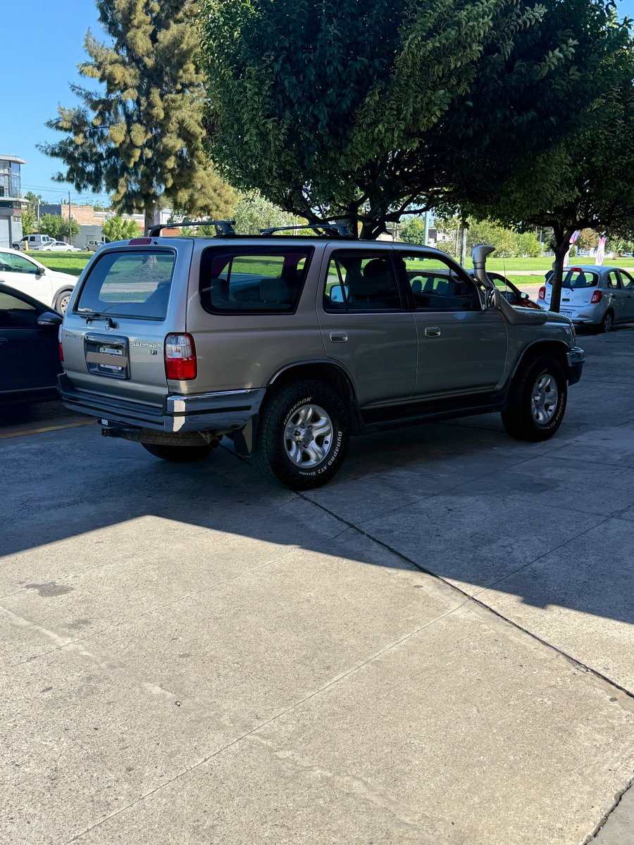 Maxi Mostajo tweet media