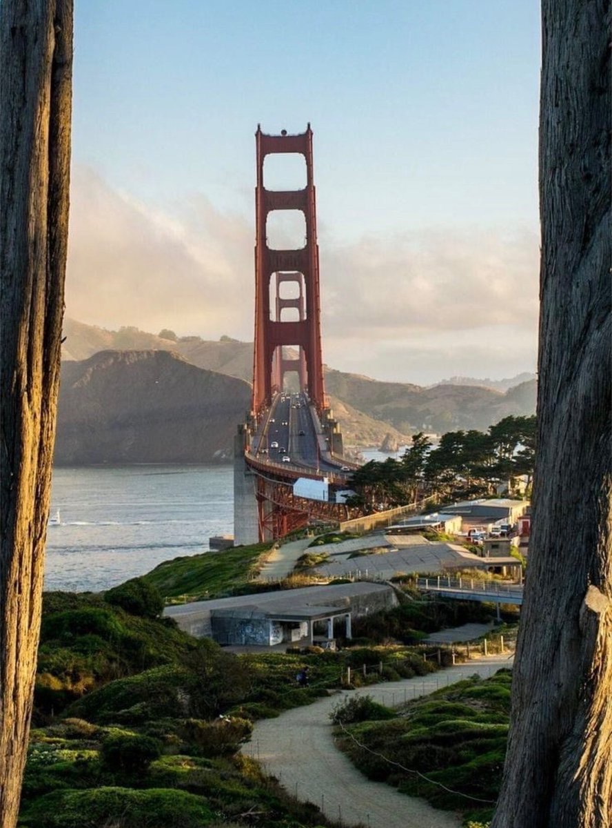 WORLD 2026 🌊 tweet media