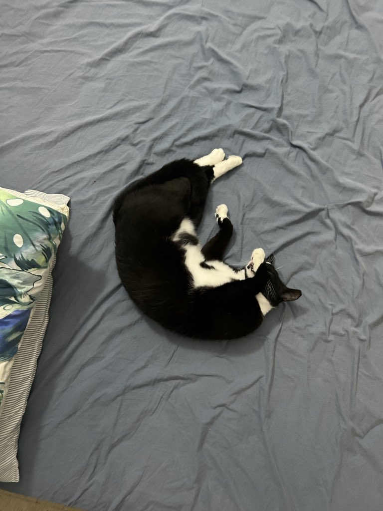 Aleks Salkin tweet media