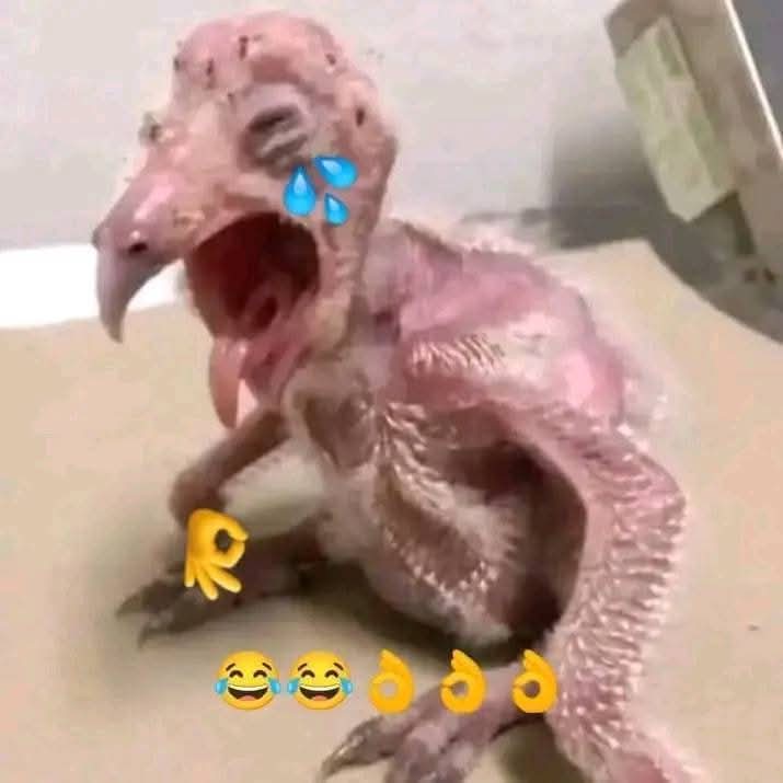 Armando Peña tweet media