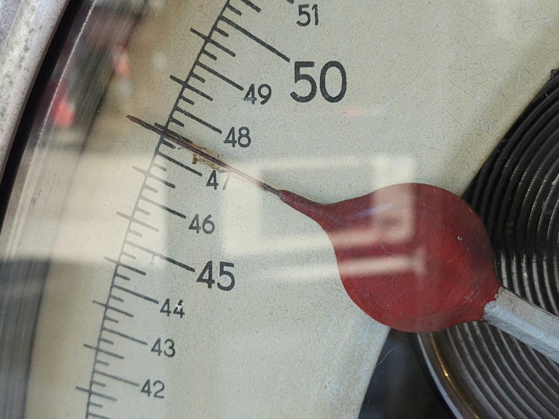 mela 2 🏳️‍⚧️ tweet media