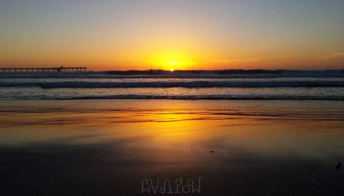 M O T T R A M tweet media