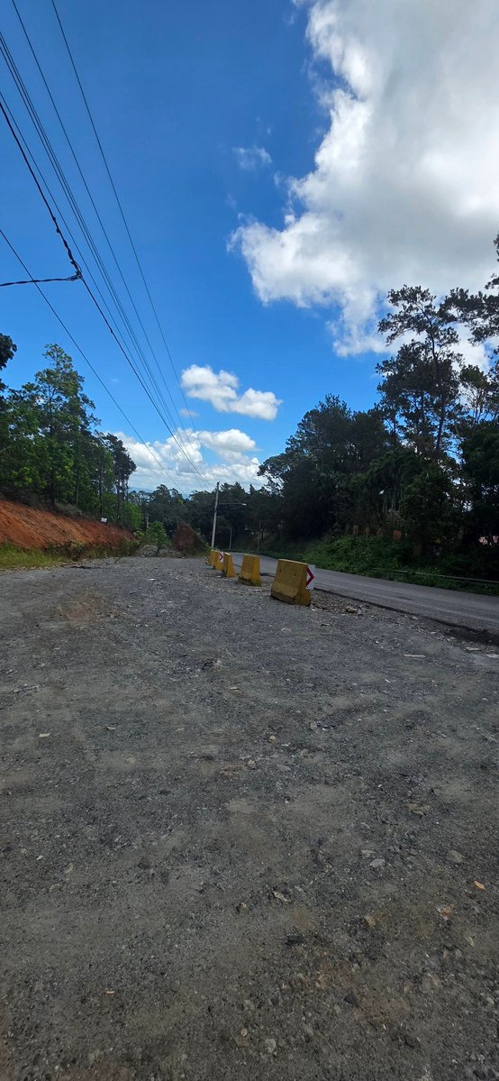 Albert paulino tweet media