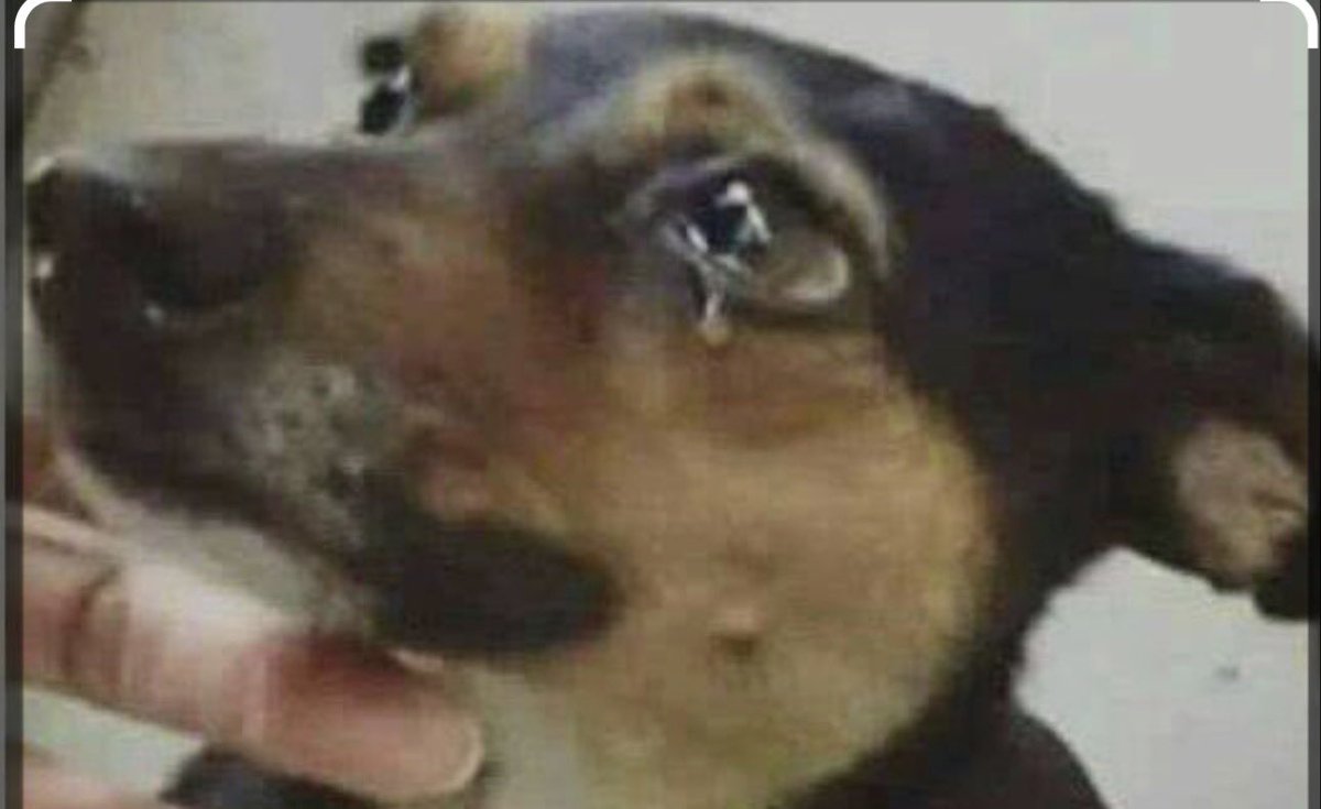 Ibrahim s s tweet media