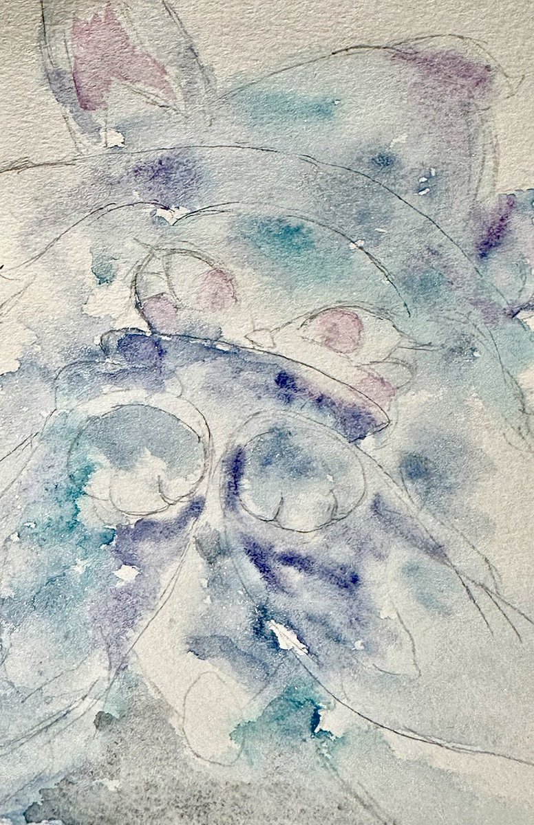 るのあ tweet media