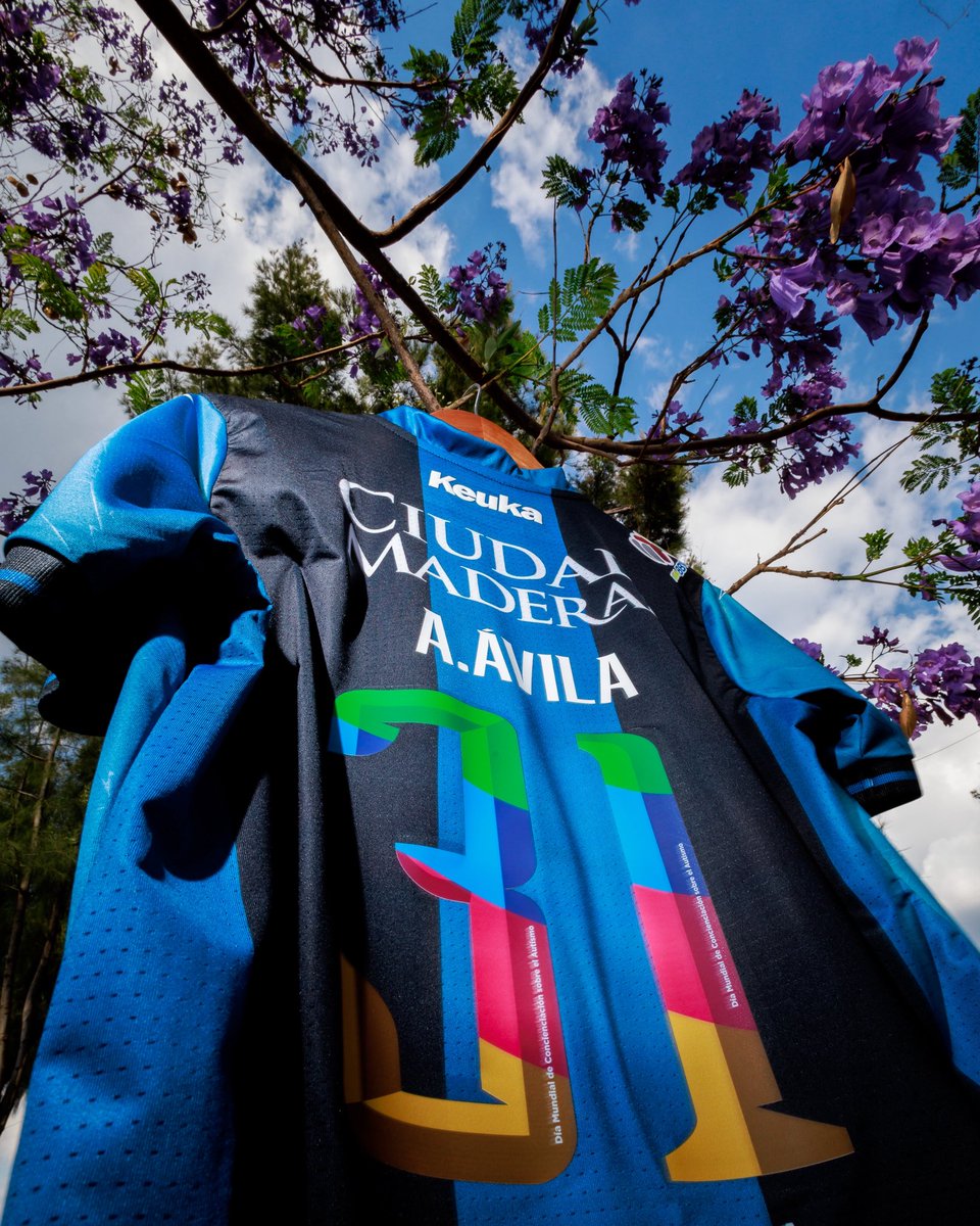 Gallos Blancos 🐓 tweet media