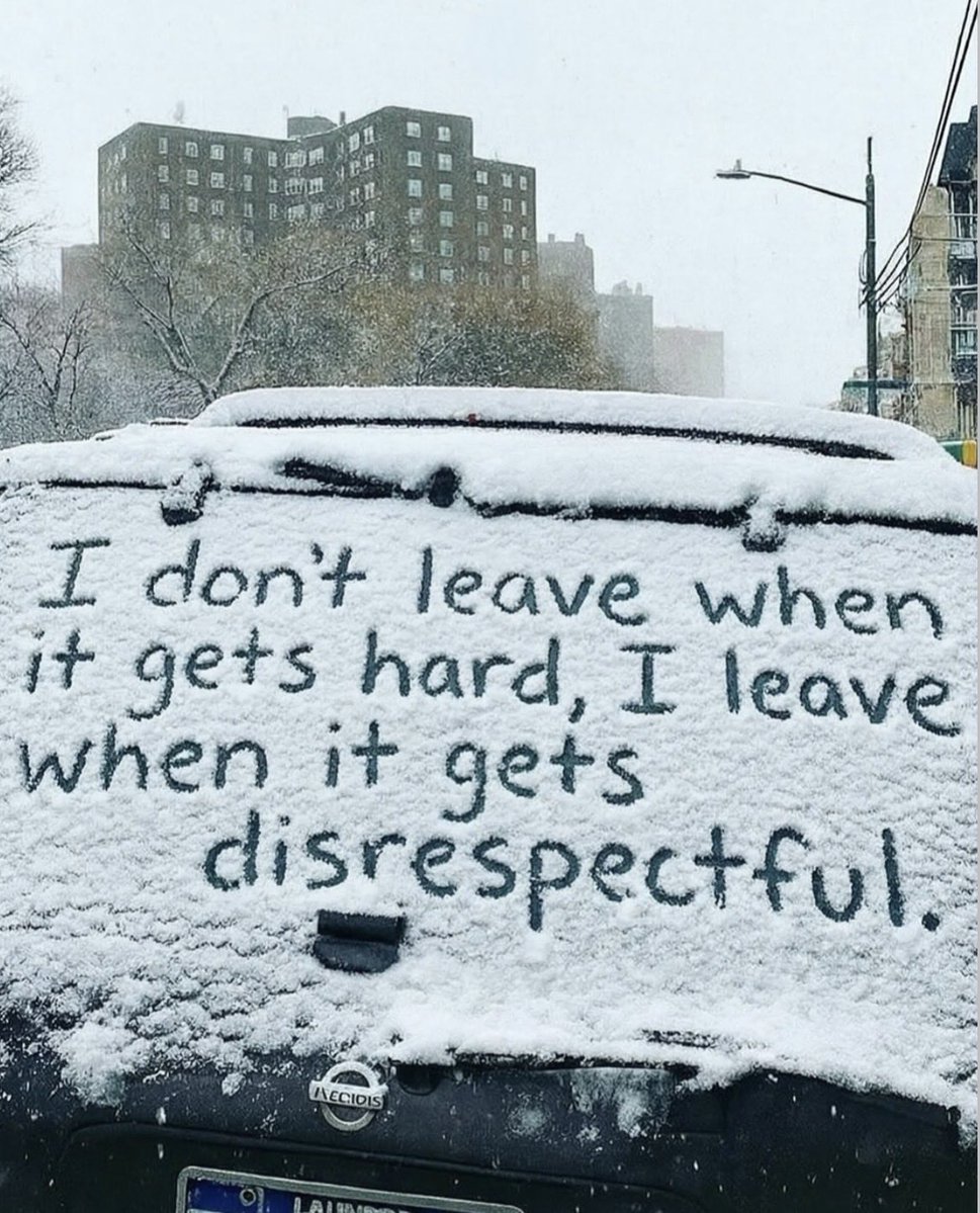 Maxwell 🕊 tweet media