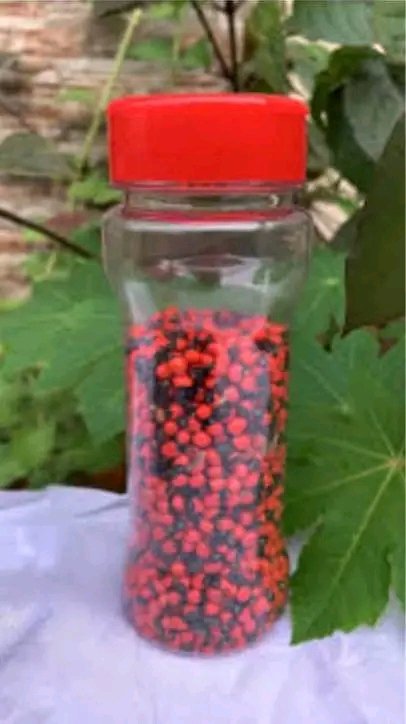 FÍDÍPÒTE 👑 tweet media