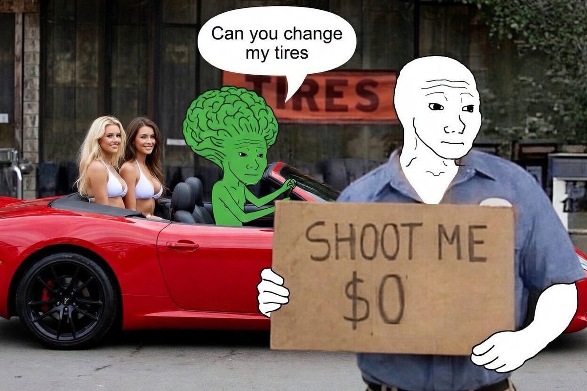 Daydreamer tweet media