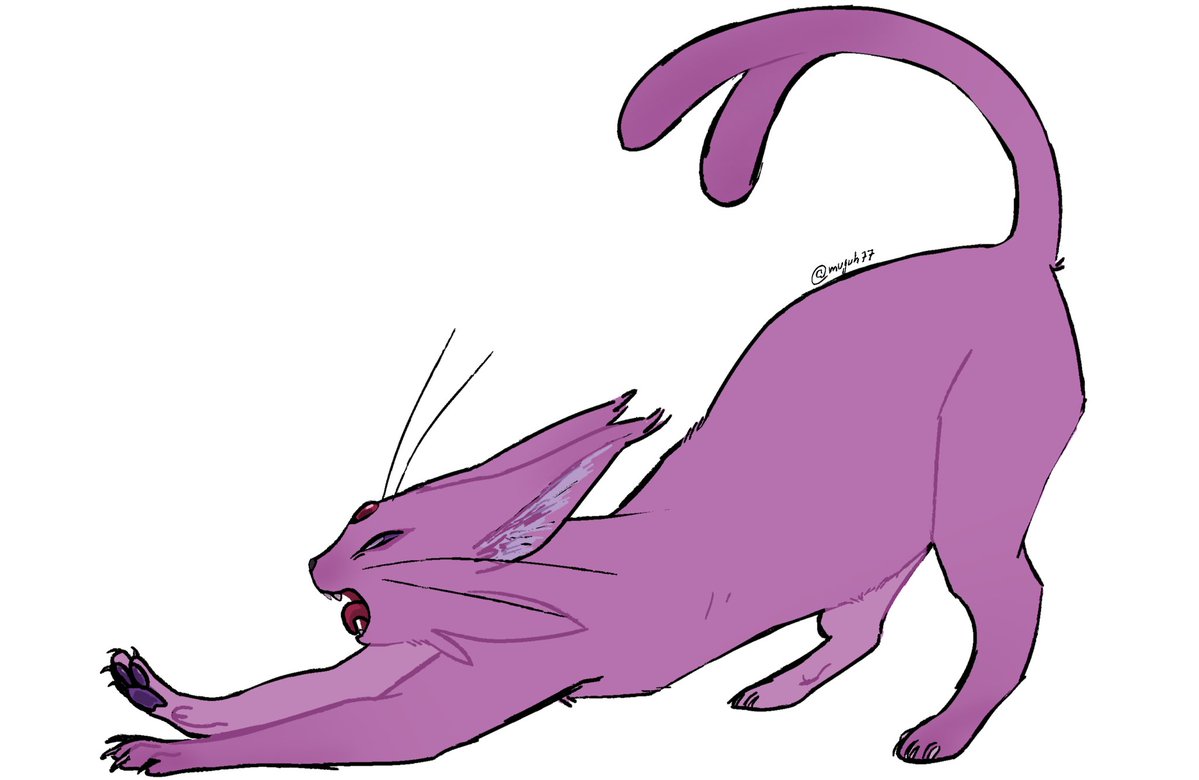 mujuh🦈 tweet media