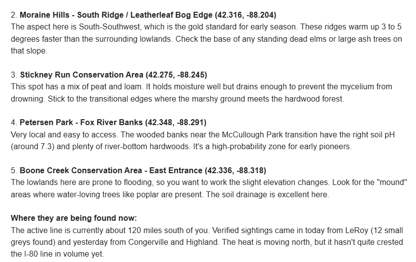 hudah.slam ⚡ tweet media