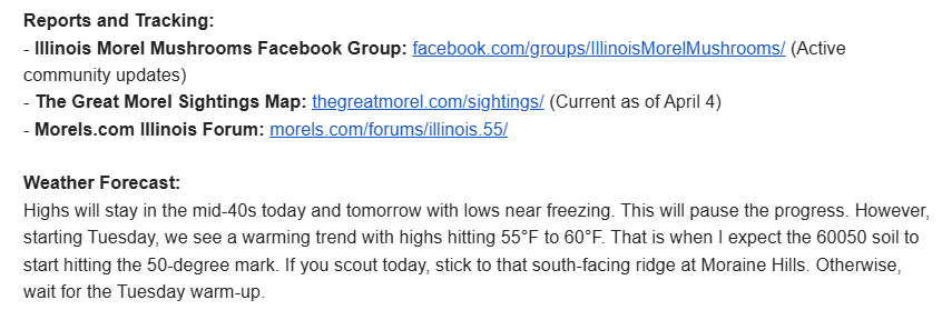 hudah.slam ⚡ tweet media