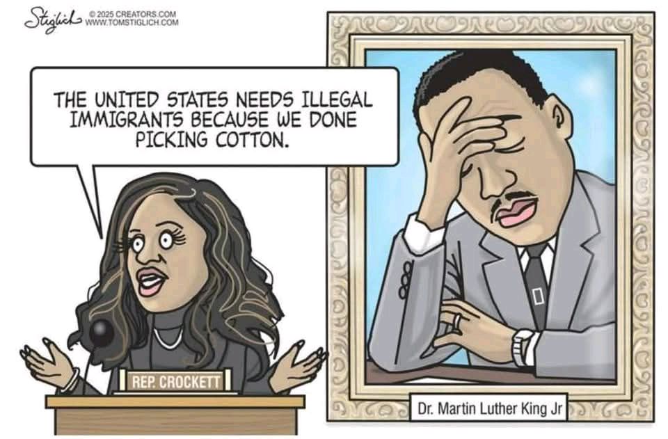 Mr. Star Spangled MAGA tweet media