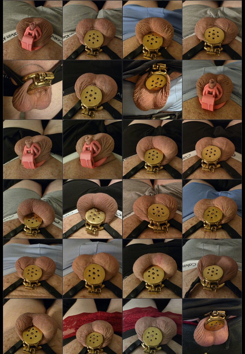 Tim🇳🇱 tweet media