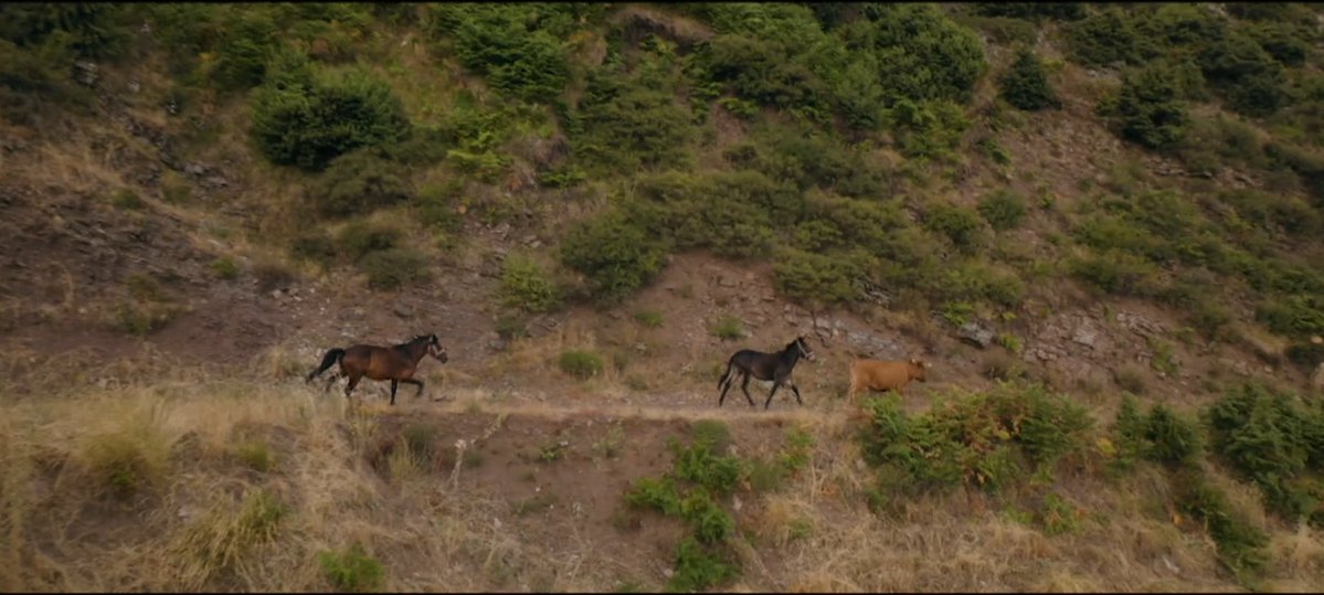 φάντα μπλέ 🫧 tweet media