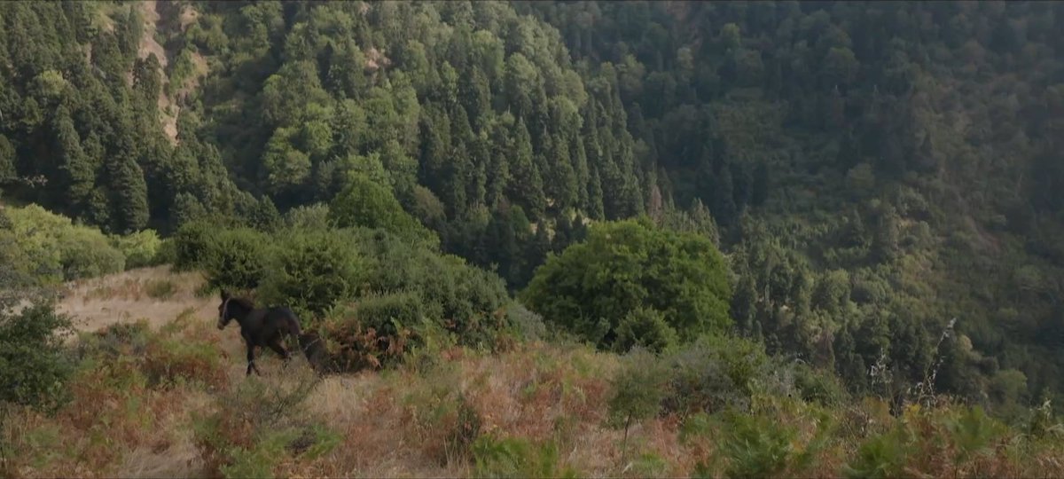 φάντα μπλέ 🫧 tweet media