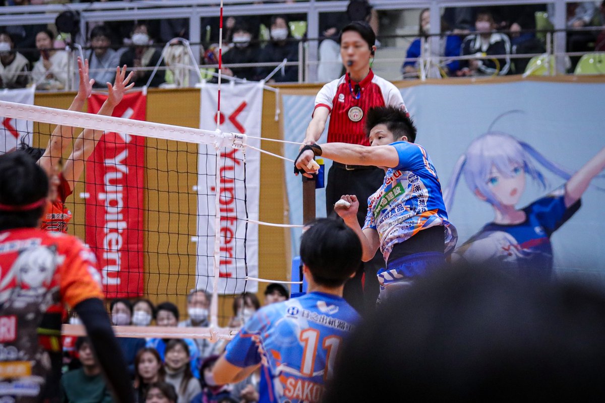 羽毛ふとん tweet media