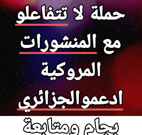 وجائكم بيان من الجزائر فاستعدوا tweet media